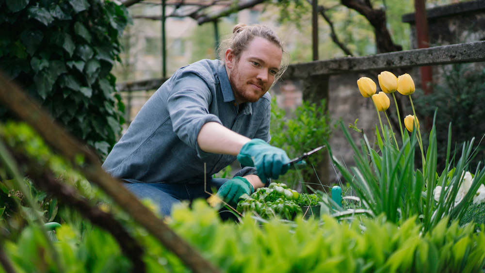 young man gardening